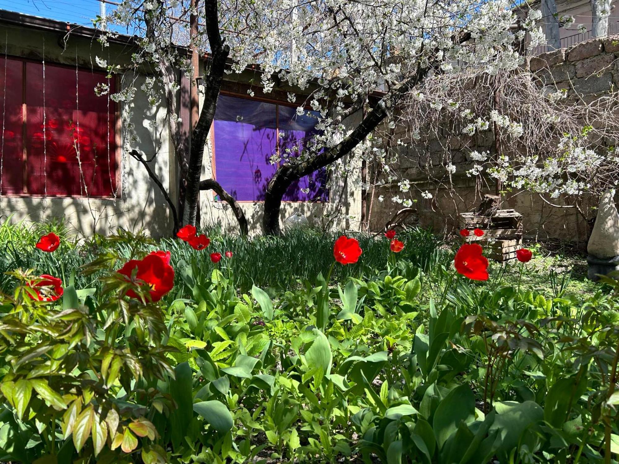Ke&Ra Guestsroom Gori Dış mekan fotoğraf
